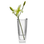 Mikiasa Baron Crystal Vase, 11.75 Inch